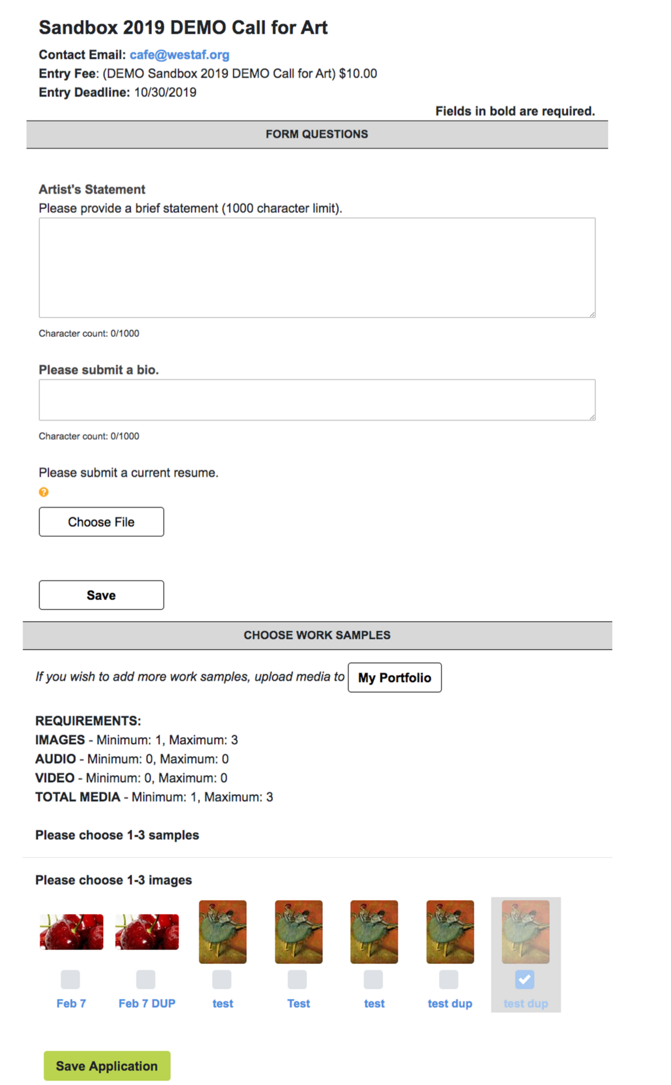 screenshot of the application form on cafe