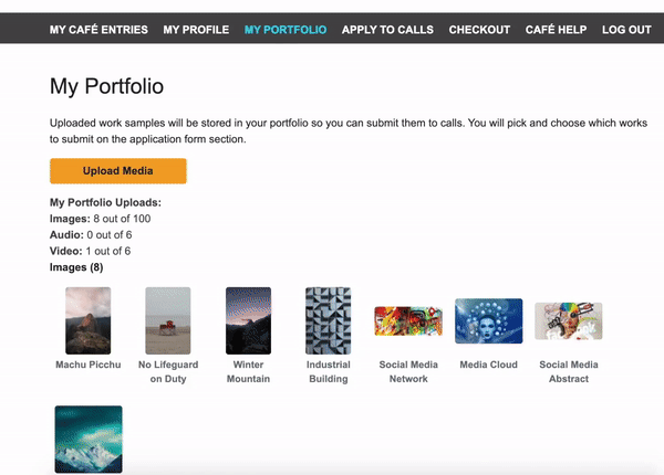 screen capture of a user reviewing their artwork in their portfolio and clicking on the image and an arrow highlighting all the details that are included in the image when applying.