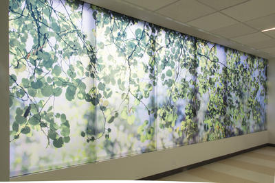 Glass window with green and blue leaves on it.