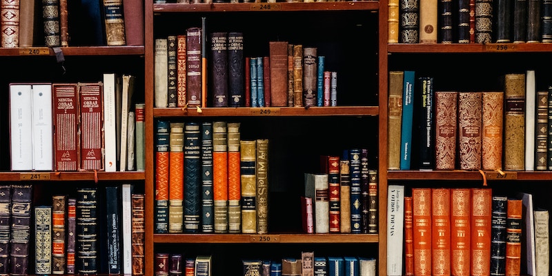 Bookshelf filled with brown and burgundy books