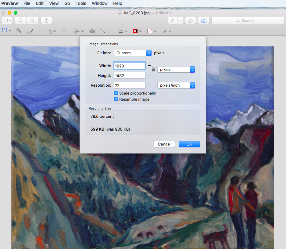 Screenshot of Photo of Painting open in Preview with size settings window opened.