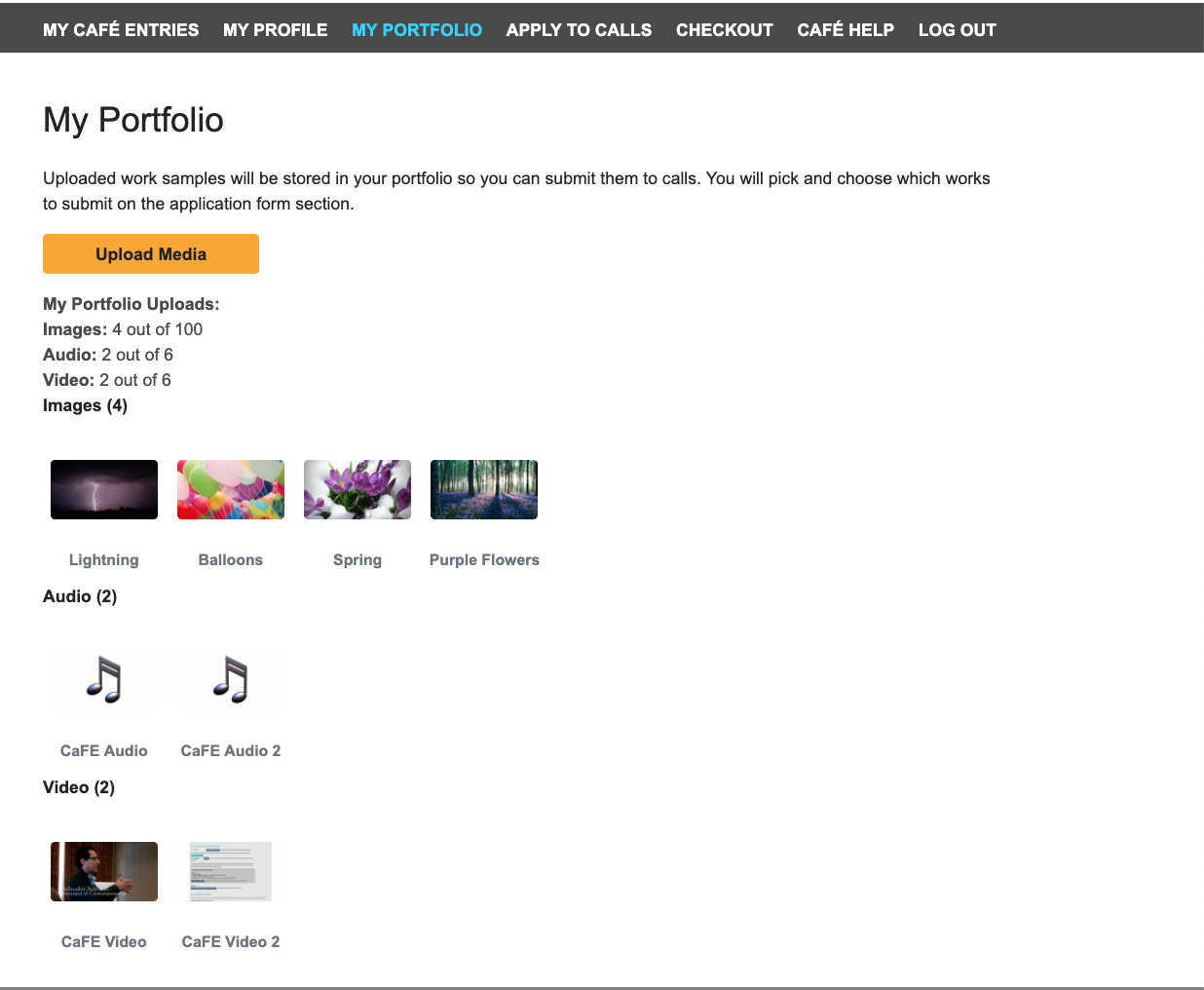 Screenshot of the CaFE Portfolio highlighting images, audio and video fies