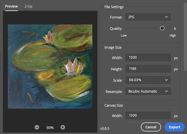 photographing artwork screenshot of photo editing software on the Export settings window showing saving as jpeg file