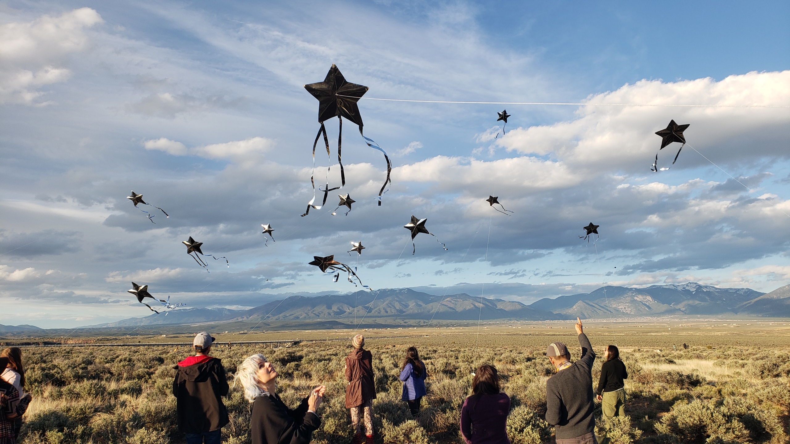 An image of a bunch of people outside looking at a bunch of kites flying in the air.