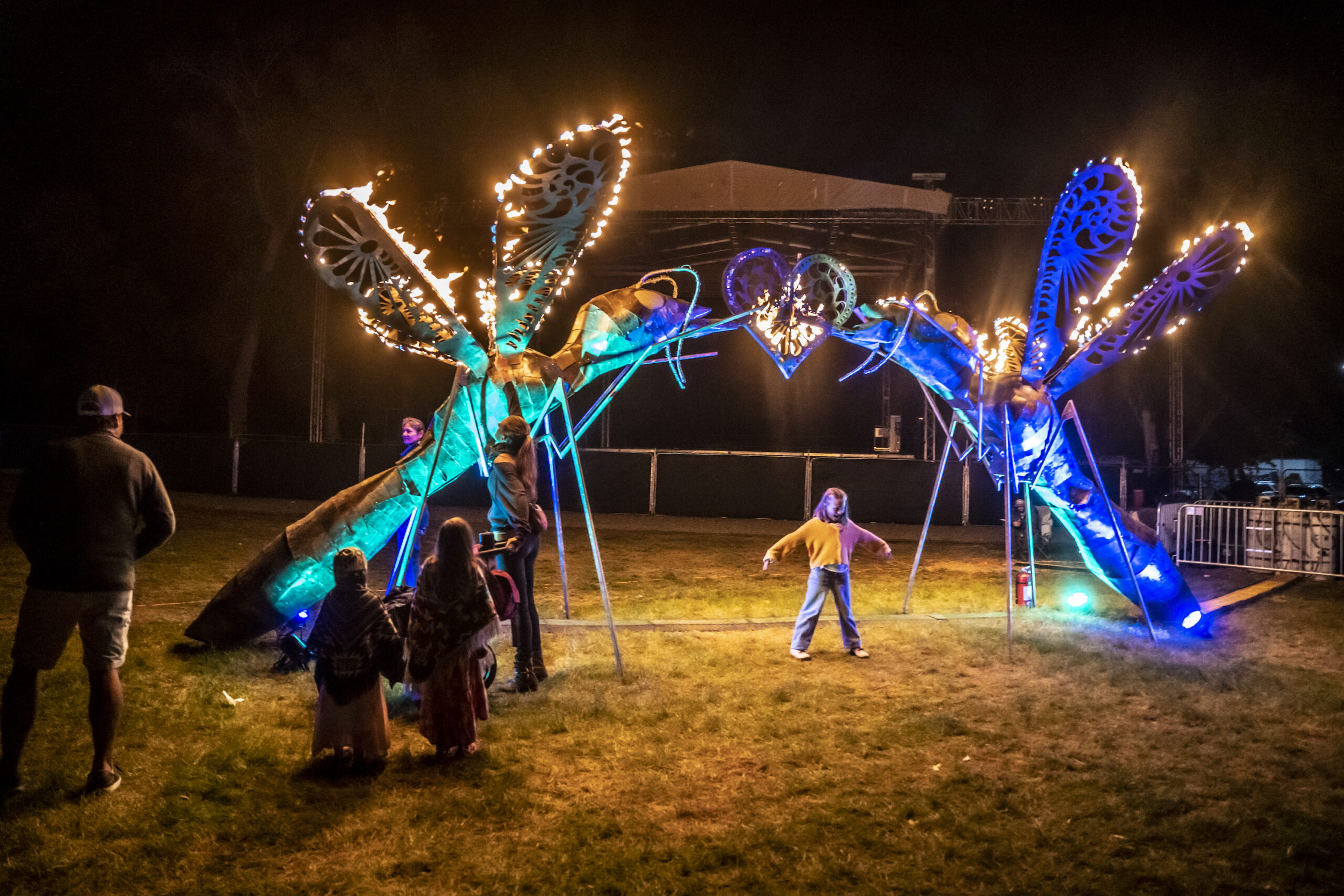 An image of two huge colorful dragonfly sculptures with a little kid standing in the middle of them.